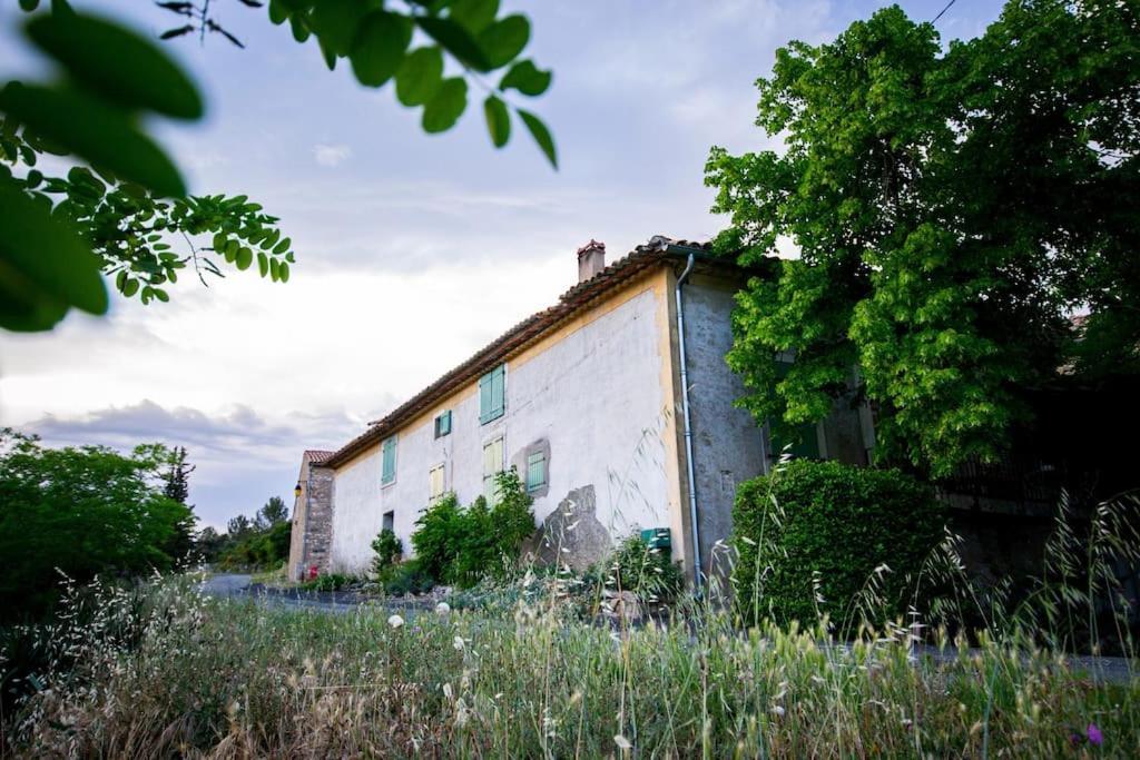 Le Pech Merle Yourhosthelper Saint-Jean-de-Minervois المظهر الخارجي الصورة