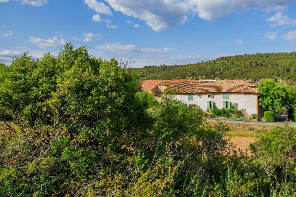 Le Pech Merle Yourhosthelper Saint-Jean-de-Minervois المظهر الخارجي الصورة